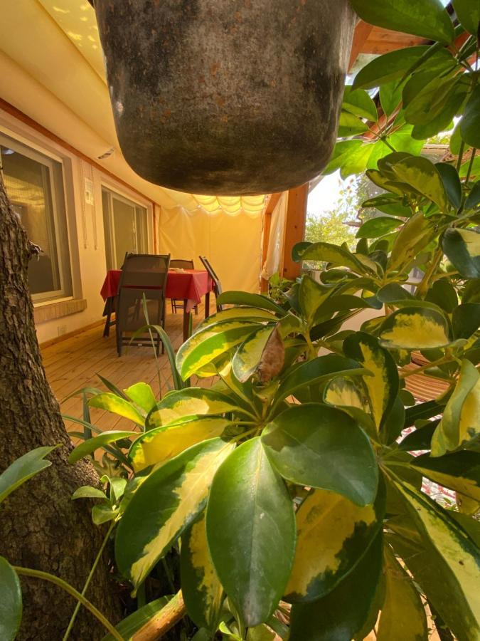Ancora Bilocale Villa มารีนา ดิ มาซซา ภายนอก รูปภาพ